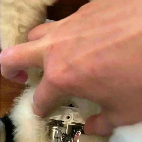 2004 FurReal Hasbro Tiger Electronics Scamps my Playful  Pup animatronic… - Picture 8 of 9